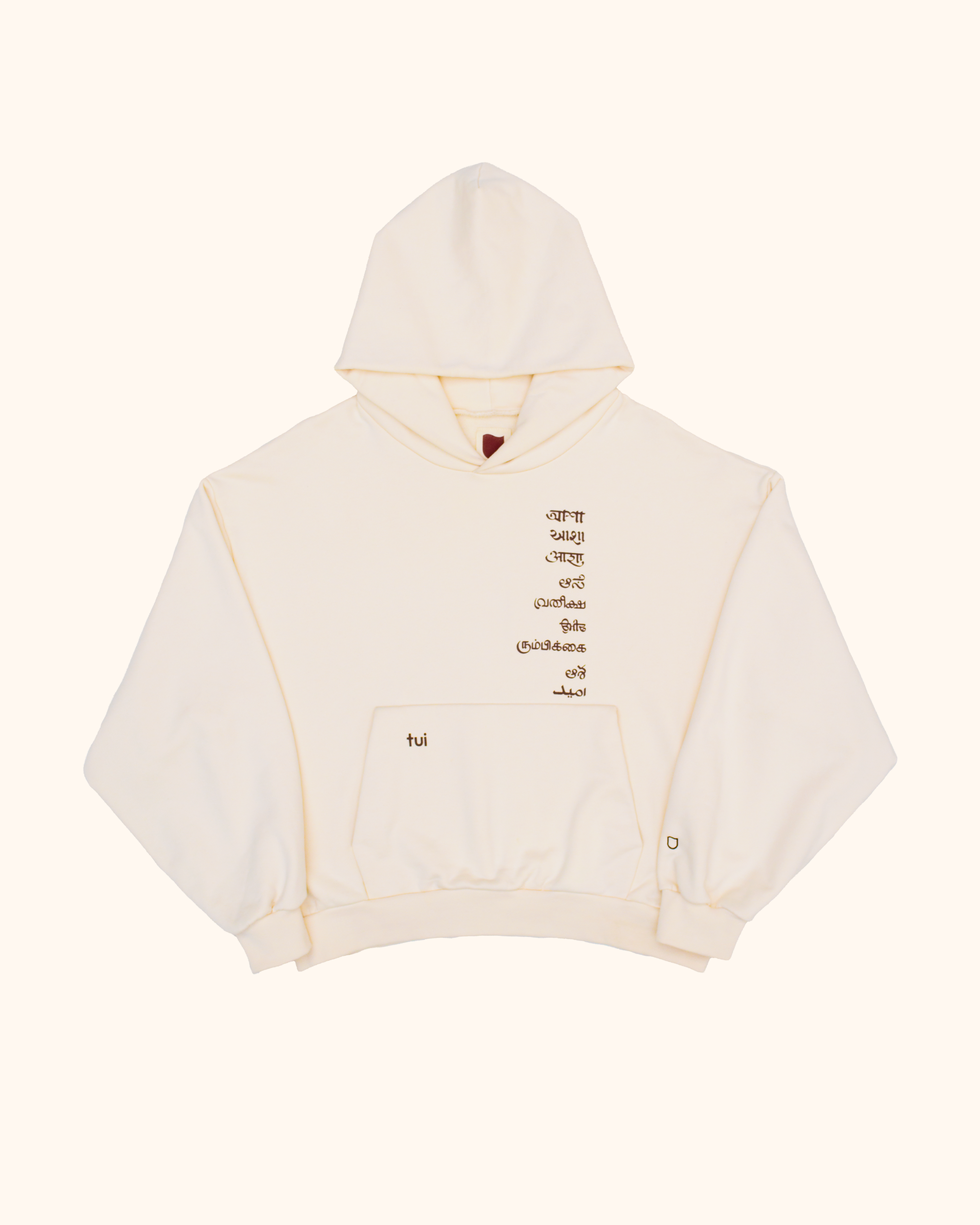 Misspelled Hope Hoodie