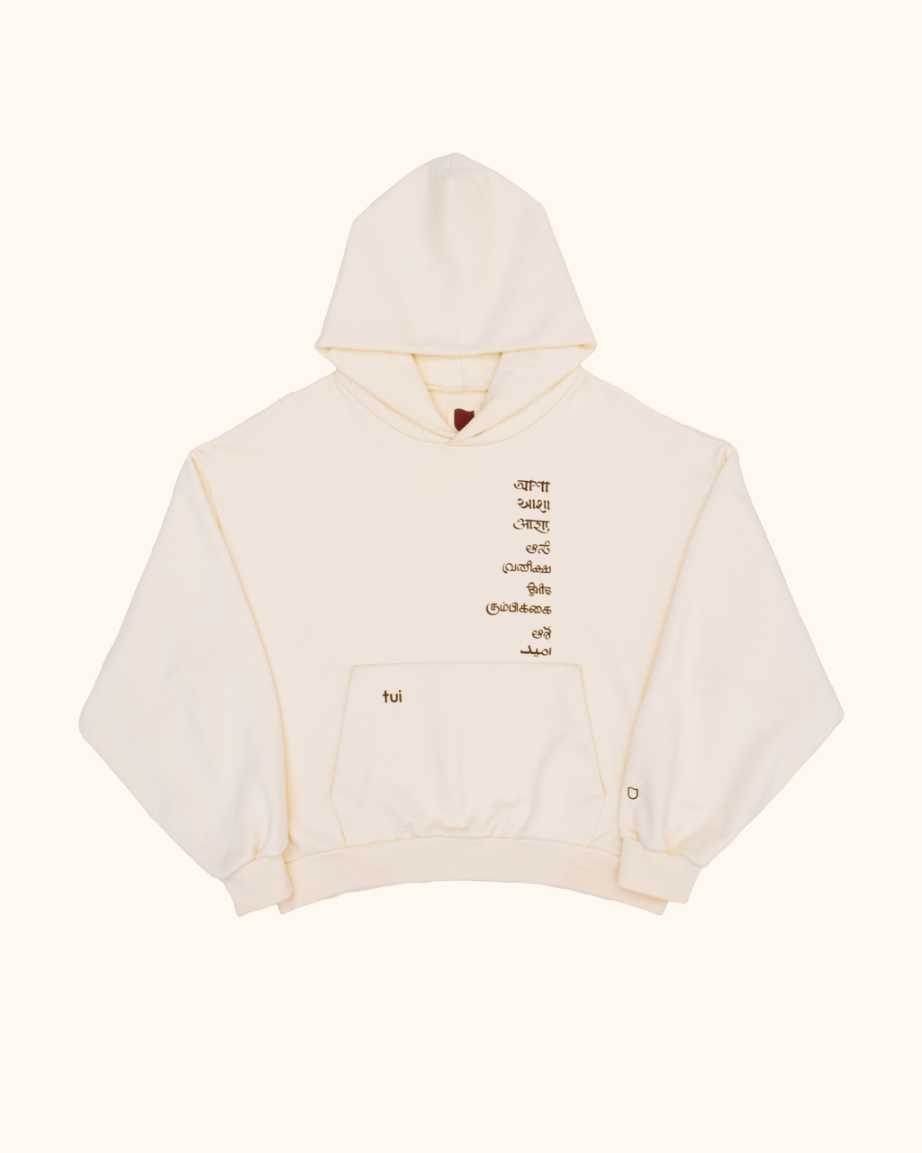 Misspelled Hope Hoodie - TUI